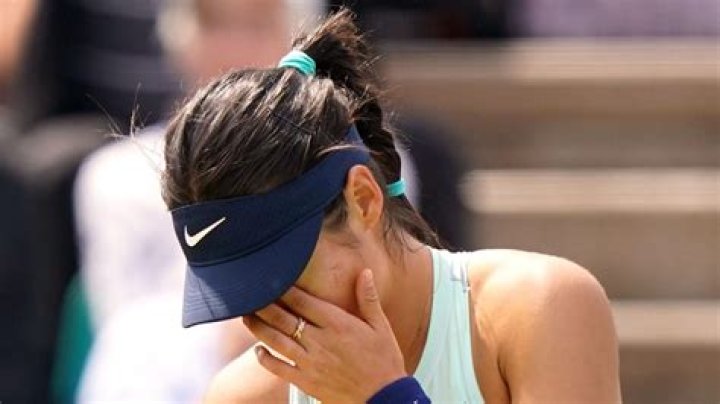 Boris Sanchez Height, Weight, Net Worth, Age, Birthday, Wikipedia, Who, Nationality, Biography